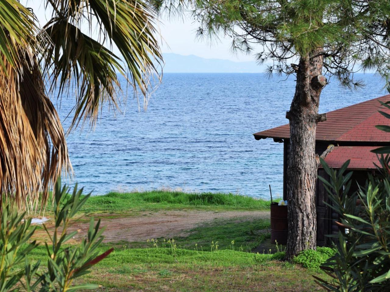 Fantasea View By Travelpro Services Nea Fokaia Halkidiki Kültér fotó